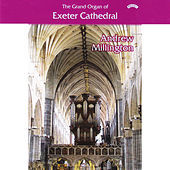 Thumbnail for the Andrew Millington - The Grand Organ of Exeter Cathedral link, provided by host site