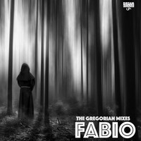 Thumbnail for the Fabio - The Gregorian Chant Mixes link, provided by host site