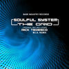 Thumbnail for the Soulful System - The Grid link, provided by host site