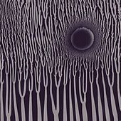 Thumbnail for the Sunn O))) - The Grimm Robe Demos link, provided by host site