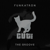 Thumbnail for the Funkatron - The Groove link, provided by host site