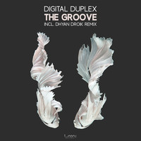 Thumbnail for the Digital Duplex - The Groove link, provided by host site