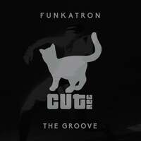 Thumbnail for the Funkatron - The Groove link, provided by host site