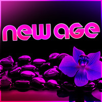 Thumbnail for the Nadi - The Guru link, provided by host site