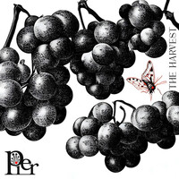 Thumbnail for the Pier - The Harvest link, provided by host site