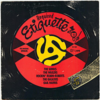Thumbnail for the The Sonics - The Hustler link, provided by host site