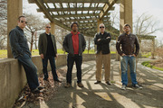 Thumbnail for the Tortoise - The Independent link, provided by host site