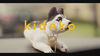 Thumbnail for the Kideko - The Jam link, provided by host site