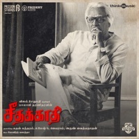 Thumbnail for the Govind Vasantha - The Journey of Ayya link, provided by host site