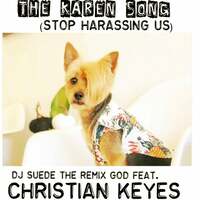 Thumbnail for the DJ Suede the Remix God - The Karen Song (Stop Harassing Us) link, provided by host site