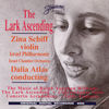 Image of Zina Schiff linking to their artist page due to link from them being at the top of the main table on this page