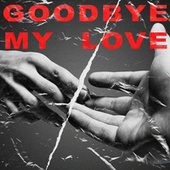 Thumbnail for the James Morrison - The Last Goodbye link, provided by host site