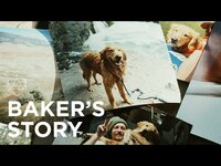 Thumbnail for the ODESZA - The Last Goodbye: Baker's Story link, provided by host site