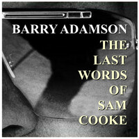 Thumbnail for the Barry Adamson - The Last Words Of Sam Cooke link, provided by host site