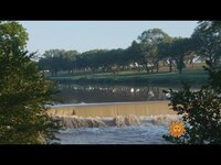 Thumbnail for the CBS Sunday Morning - Nature: The LBJ Ranch link, provided by host site