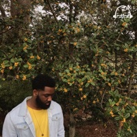 Thumbnail for the Richard Daniel - The Lemon Tree Project link, provided by host site
