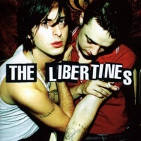 Thumbnail for the The Libertines - The Libertines link, provided by host site