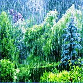 Thumbnail for the Loopable - The Living Forest Rain (Click Shuffle, Gapless, Repeat, and Crossfade to Choosing for a Unique Perpetual Journey Every Time) link, provided by host site