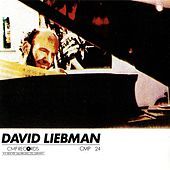 Thumbnail for the David Liebman - The Loneliness of a Long-Distance Runner link, provided by host site