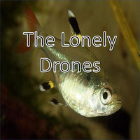 Thumbnail for the Drones and Tones - The Lonely Drones link, provided by host site