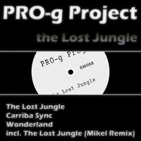 Thumbnail for the Pro-g Project - The Lost Jungle link, provided by host site