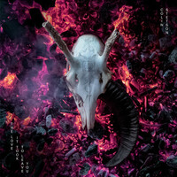 Thumbnail for the Colin Stetson - The love it took to leave you link, provided by host site
