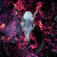 Thumbnail for the Colin Stetson - The love it took to leave you link, provided by host site