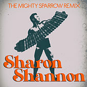 Thumbnail for the Sharon Shannon - The Mighty Sparrow (Remix) link, provided by host site