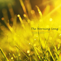 Thumbnail for the Polaris - The Morning Song link, provided by host site