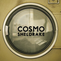 Thumbnail for the Cosmo Sheldrake - The Moss link, provided by host site