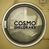 Thumbnail for the Cosmo Sheldrake - The Moss link, provided by host site