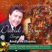 Thumbnail for the David Parry - The Most Wonderful Time of the Year link, provided by host site