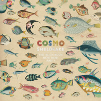 Thumbnail for the Cosmo Sheldrake - The Much Much How How an I link, provided by host site