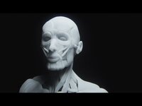 Thumbnail for the Code Orange - The Mud link, provided by host site