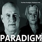 Thumbnail for the Paradigm - The New Paradigm link, provided by host site