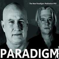 Thumbnail for the Paradigm - The New Paradigm link, provided by host site