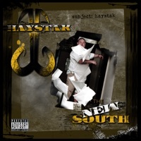 Thumbnail for the Haystak - The New South link, provided by host site