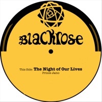 Thumbnail for the PRINCE JAMO - The Night of Our Lives link, provided by host site