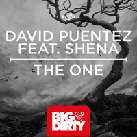 Thumbnail for the David Puentez - The One link, provided by host site