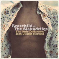 Thumbnail for the Beatchild - The Only Difference link, provided by host site