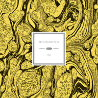 Thumbnail for the Bert Jansch - The Ornament Tree link, provided by host site
