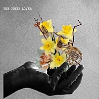 Thumbnail for the Little Dragon - The Other Lover link, provided by host site