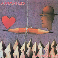 Thumbnail for the Brandon Fields - The Other Side of the Story link, provided by host site