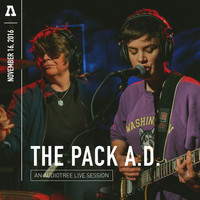 Thumbnail for the The Pack a.d. - The Pack a.d. on Audiotree Live link, provided by host site