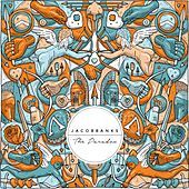 Thumbnail for the Jacob Banks - The Paradox link, provided by host site