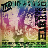 Thumbnail for the Conor Oberst - The Pearl link, provided by host site