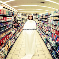 Thumbnail for the Moby - The Perfect Life link, provided by host site