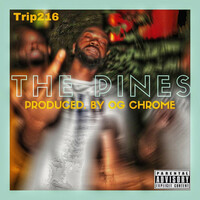 Thumbnail for the BIG TRIP - The Pines link, provided by host site