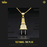 Thumbnail for the Teetimus - The Plug link, provided by host site