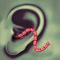 Thumbnail for the Oh Sees - The Poem link, provided by host site